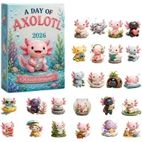 Generisch 2026 Tier Weihnachtskalender Kalender Adventskalender Axolotl Cartoon B