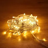 Dripio Lichterkette 6 m, 40 LED, warmweiß, traditionell, USB