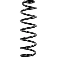 CS Germany Fahrwerksfeder 30110282 Hinterachse für RENAULT