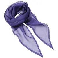 Premier - Schal für Damen LT1285 (Einheitsgröße) (Violett)