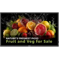 Philips 5000 series 86BDL5050D/00, 2,18 m (86"), LCD, 3840 x 2160 Pixel, WLAN