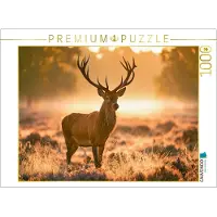 CALVENDO Puzzle König des goldenen Morgens | 1000 Teile Lege-Größe 64 × 48 cm Foto-Puzzle für glückliche Stunden