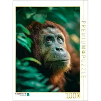 CALVENDO Puzzle Orang Utan - Seele des Dschungels | 1000 Teile Lege-Größe 64 × 48 cm Foto-Puzzle für glückliche Stunden