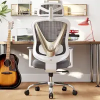 Dripio Ergonomischer Bürostuhl mit 3D-Lendenstütze, V-Design, Weiß-Gold