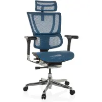 Dripio Ergonomischer Bürostuhl mit Lendenstütze, Mesh blau
