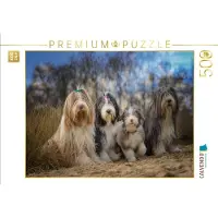 CALVENDO Puzzle BEARDED COLLIE Truppe mit Welpe | 500 Teile Lege-Größe 48 × 36 cm Foto-Puzzle für Erwachsene