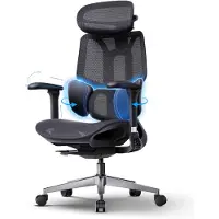 Dripio Ergonomischer Bürostuhl, 3-Zonen-Lendenstütze, Mesh, 140° neigbar, Schwarz