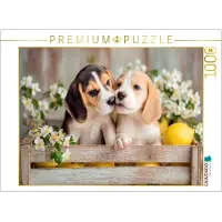 CALVENDO Puzzle Beagles - Ein Küsschen für dich | 1000 Teile Lege-Größe 64 × 48 cm Foto-Puzzle für glückliche Stunden