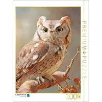 CALVENDO Puzzle Vögel in ihrer Schönheit - Illustrationen | 1000 Teile Lege-Größe 64 × 48 cm Foto-Puzzle für glückliche Stunden