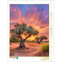 CALVENDO Puzzle Ein Motiv aus dem Kalender Wo die Zeit Wurzeln schlägt | 2000 Teile Lege-Größe 90 × 67 cm Foto-Puzzle für glückliche Stunden