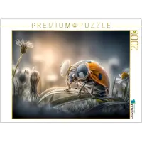 CALVENDO Puzzle Ein Marienkäfer | 2000 Teile Lege-Größe 90 × 67 cm Foto-Puzzle für glückliche Stunden