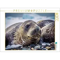 CALVENDO Puzzle Dickhäutig? Ja. Dickköpfig? Niemals. | 2000 Teile Lege-Größe 90 × 67 cm Foto-Puzzle für glückliche Stunden