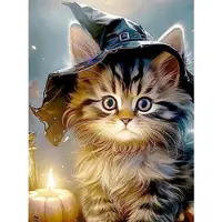 Norimpex Diamantov maloven Katze mit Hut 30x40cm