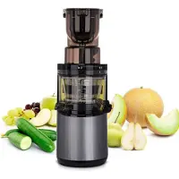 OEM Langsamer Entsafter für Gemüse und Obstsaft, langlebig