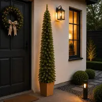 Kondela Weihnachtsbaum im Topf Veluno 190 cm - grün