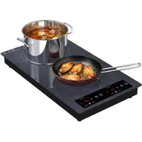OEM Induktionskochfeld 2 Zonen, 3000 W, 9 Stufen, Timer, mobil