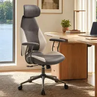Dripio Bürostuhl mit hoher Rückenlehne, Suèdelook, verstellbar