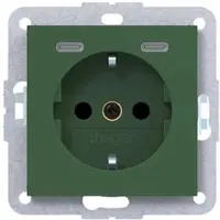 Hager WAS4055C10 Steckdose SCHUKO mit USB Typ C 2fach PD, 20W, A.x/C.x forest matt