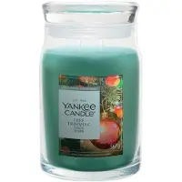 Yankee candle Tree Trimming Duftkerze 567 g