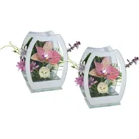 Otto Home Kunstblume "Orchidee mit LED-Beleuchtung im Glas" im 2er Set 11x15cm oder einzeln 15x18cm, in weiß oder rose/pink