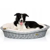 DOTTY Handbemalter grauer Weidenkorb Wikikorb mit Baumwoll-Hundebett – Beige mit weißen Punkten Polka Dots – Waschbar & Weich –