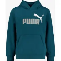Puma Essential 2 Color Nº1 Logo Kapuzenpullover