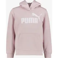 Puma Essential Nº1 Logo Kapuzenpullover