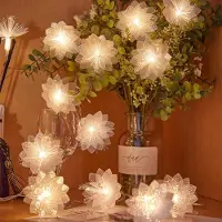 SURIGHT Warme, weiße LED-Dekogirlande für den Innenbereich – Set mit 20 Stück – Feenlichter, transparentes Kabel, USB-betriebene, 3 Meter lang
