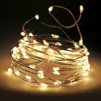 SURIGHT LED-Lichterkette mit feinem Draht – Vielseitige Beleuchtung mit Timer-Funktion – Batteriebetrieben – Zart und filigran – Warmweiß
