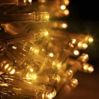 SURIGHT Lichterkette mit 40 warmweißen LEDs auf einem 6 Meter langen Kabel – (warmweiß)