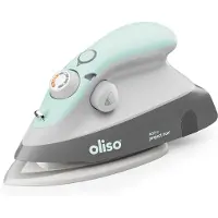 OEM Kompaktes Dampfbügeleisen mit Keramiksohle, 600 W, Aqua