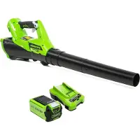 LTPRTZ Accu-Laubbläser - Akkubetriebener Laubbläser - Für die Gartenpflege - Variable Geschwindigkeit - 40 Volt - Grün