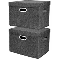 LTPRTZ Aufbewahrungsbox mit Deckel - Set aus Aufbewahrungsboxen - Zur Organisation im Haushalt - Waschbar und zusammenklappbar - 2 Stück, je 35 Liter - Schwarz