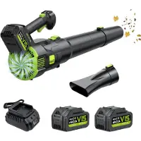 LTPRTZ Accu-Blasegerät - Elektrisches Werkzeug - Gartenpflege - Bürstenloser Motor - 750 m³/h - Schwarz
