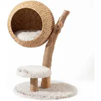 Merkloos Kratzbaum Katzenkratzbaum Kratzstamm - Astmodell - 83 cm - Mit Liegemulde und Plüsch