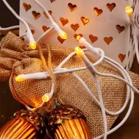 SURIGHT Hellum LED-Lichterkette für den Innenbereich mit Stecker – 50 Stück – Innenbereichs-Lichterkette mit 50 warmweißen LEDs