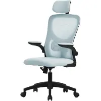Merkloos Ergonomischer Bürostuhl mit verstellbarer Kopfstütze und Lendenwirbelstütze