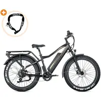 Jobobike Robin Pro - E-Fatbike inkl. Kettenschloss - 26 Zoll - 250W Motor - 180 km Reichweite - 8-Gang - Hydraulische Scheibenbremsen - 960Wh Akku - Vollfederung - Schwarz-Gold