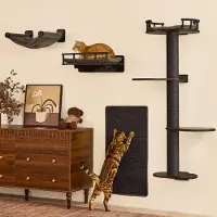 Dripio Katzen-Kletterwand 4-in-1, schwarz, mit Hängematte & Kratzflächen
