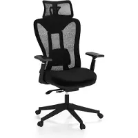 Dripio Ergonomischer Bürostuhl mit Lendenstütze, Kopfstütze, 3D-Armlehnen