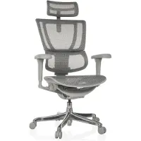 Dripio Ergonomischer Bürostuhl mit Lendenstütze, Netz, grau