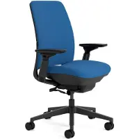 Dripio Ergonomischer Bürostuhl mit Lendenwirbelstütze, 4D-Armlehnen, Blau