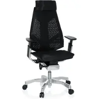 Dripio Ergonomischer Bürostuhl GENIDIA PRO, Netz, schwarz