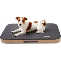 DOTTY Orthopädisches Hundebett Memory Foam Grau S