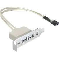 DeLOCK USB 2.0 Slotblech Low Profile 2 Port für PC Erweiterung