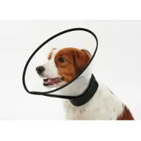Kruuse Complete 15 Cm Elizabethan Hundehalsband 5 Einheiten