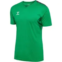 Hummel hmlAUTHENTIC PL JERSEY S/S