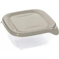 Curver Fresh & Go Quadratischer Lebensmittelbehälter 0,8l