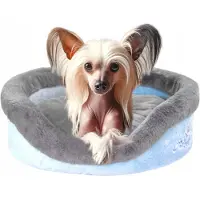 York Shop Hundebett Welpe für Chihuahua, Mops, Yorkshire Terrier