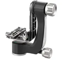 Benro Swing / Gimbal Kopf mit Wechselplatte (GH2N)